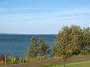 IMG_0010