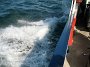 IMG_0164
