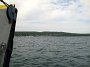 IMG_0299