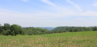 IMG_0401.JPG