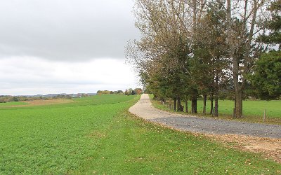 IMG_0068.JPG