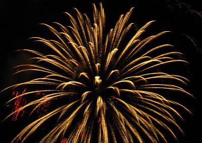 IMG_1739.jpg
