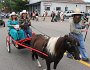IMG_0451