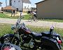 IMG_0346