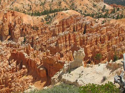 IMG_4073.JPG