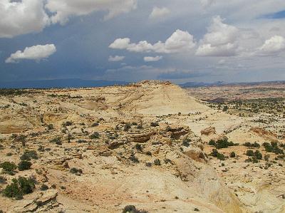 IMG_4136.JPG