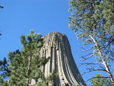 IMG_6598.jpg