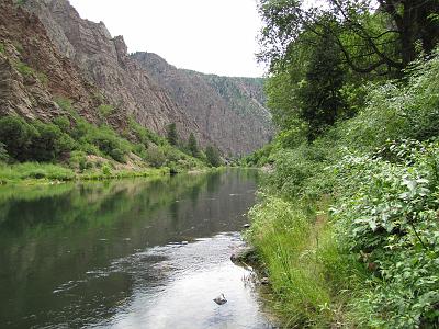 IMG_1843.jpg