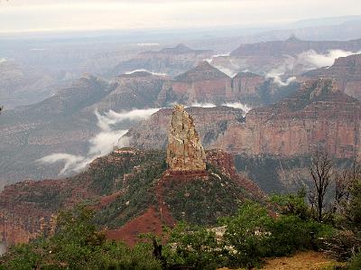 IMG_3406.jpg