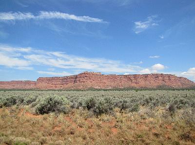 IMG_3558.JPG
