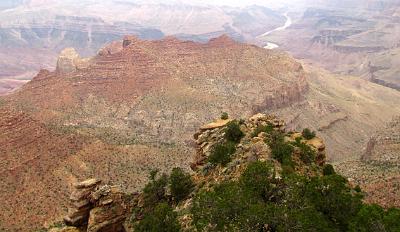 IMG_3084.jpg