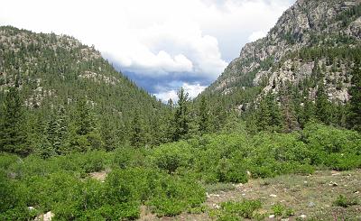 IMG_2299.jpg
