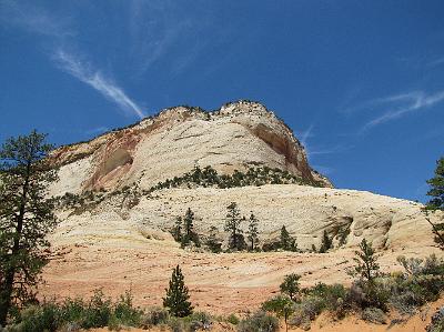 IMG_3601.JPG
