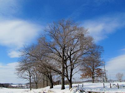 IMG_0176.JPG