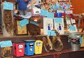 IMG_0096
