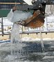 IMG_0079