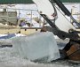 IMG_0095