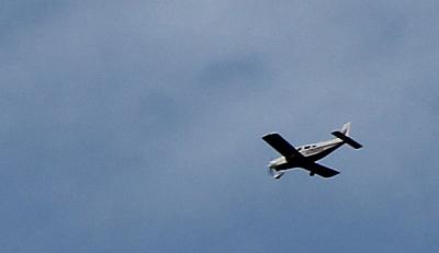 IMG_0358.jpg