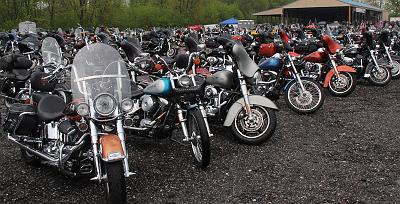 IMG_0286.jpg