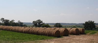 IMG_0671.JPG