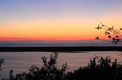 IMG_1908.jpg
