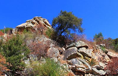 IMG_2085.jpg