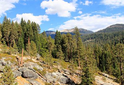 IMG_2180.jpg