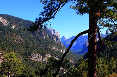 IMG_2418.jpg