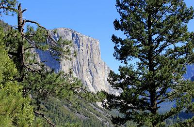 IMG_2445.jpg