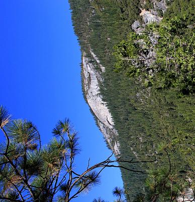 IMG_2447.jpg