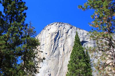 IMG_2588.jpg