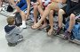 IMG_0299