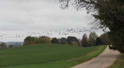 2021 Border Riders - Fall Color Ride/IMG_0075
